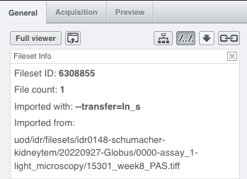 File paths